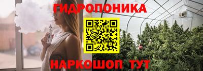 2c-b Гай